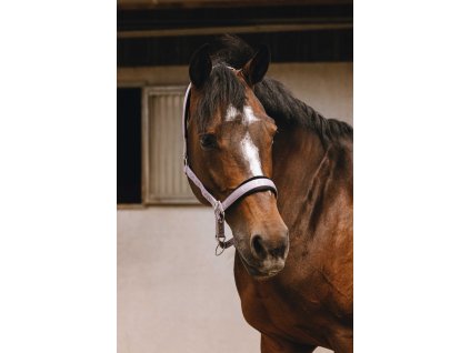 Ohlávka Jacquard Equithème, lilas