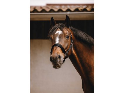 Ohlávka Jacquard Equithème, čierna