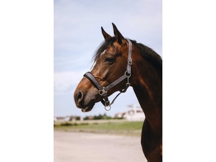 Ohlávka Jacquard Equithème, grey