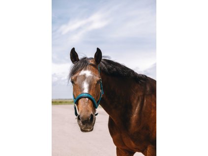 Ohlávka Jacquard Equithème, duck blue