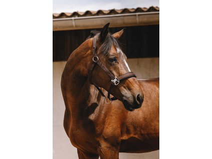 Ohlávka Jacquard Equithème, hnedá