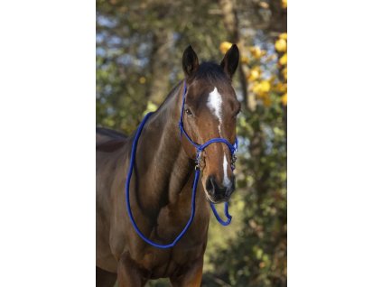 Ohlávka povrazová s oťažami Norton, royal blue