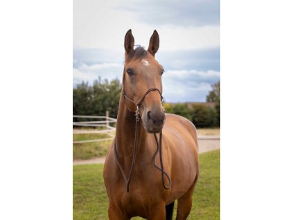 Ohlávka povrazová s oťažami Norton, hnedá