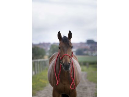 Ohlávka povrazová s oťažami Norton, red