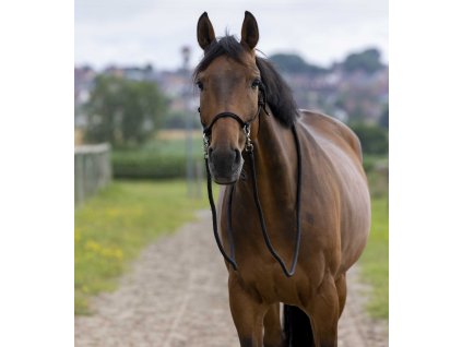 Ohlávka povrazová s oťažami Norton, čierna