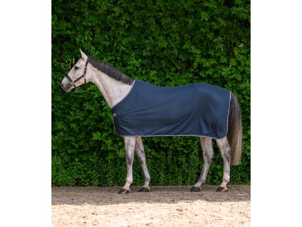 Deka odpocovacia Economic Classic Waldhausen, night blue