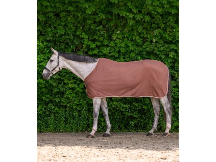 Deka odpocovacia Economic Classic Waldhausen, mocca