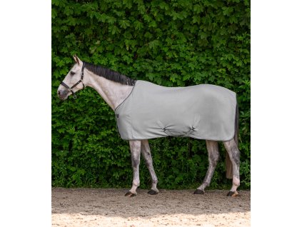 Deka odpocovacia Economic Cross Waldhausen, silver grey