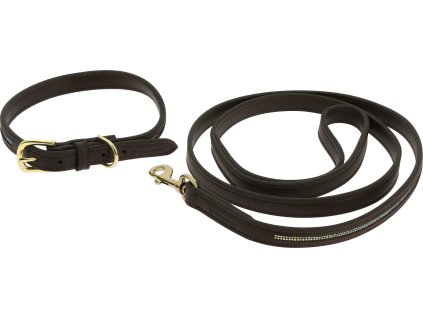 Obojok s vodítkom pre psov Max Equithème, marron