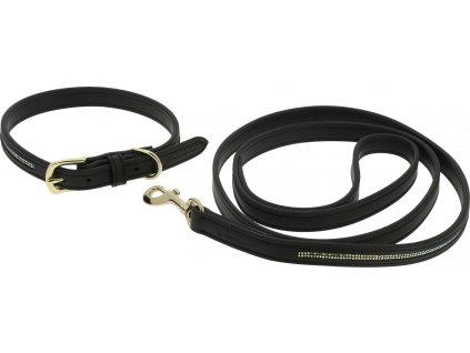 Obojok s vodítkom pre psov Max Equithème, čierny