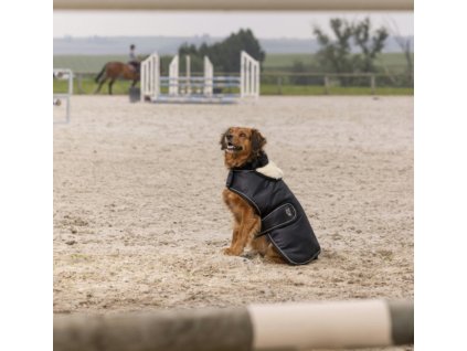 Deka pre psov Teddy Diego & Louna, s fleecom, čierna