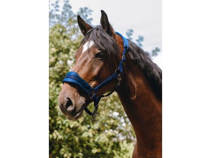 Ohlávka nylonová 3D Mesh Equithème, royal blue