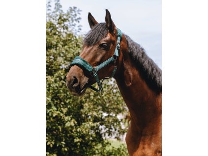 Ohlávka nylonová 3D Mesh Equithème, green