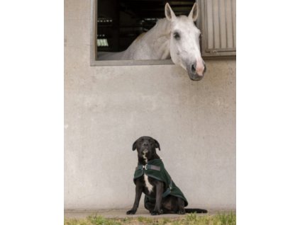 Deka pre psov Teddy Diego & Louna, fleecová, green