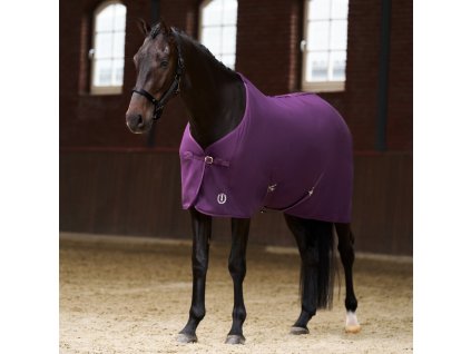 Deka odpocovacia Fundamental Imperial Riding, fig