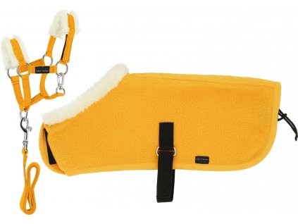 Set ohlávky a deky Pony Academy Equithème, mini, yellow