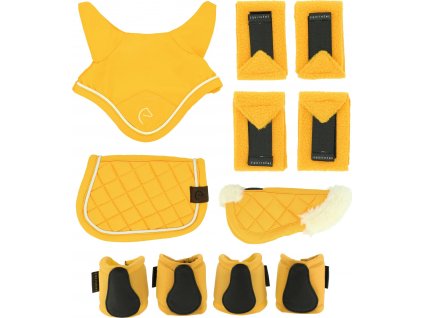 Set doplnkov Pony Academy Equithème, 5 ks, mini, yellow