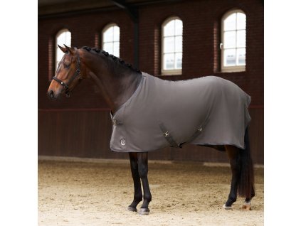 Deka odpocovacia Fundamental Imperial Riding, grey