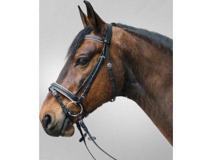 Uzdečka Diamond STAR, biela