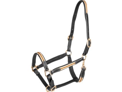 Ohlávka kožená Oxford X-Line Waldhausen, black/beige