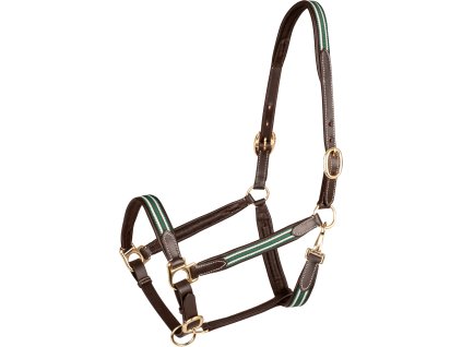 Ohlávka kožená Oxford X-Line Waldhausen, brown/green