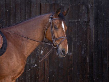 Gogue kožený Riding World, havana