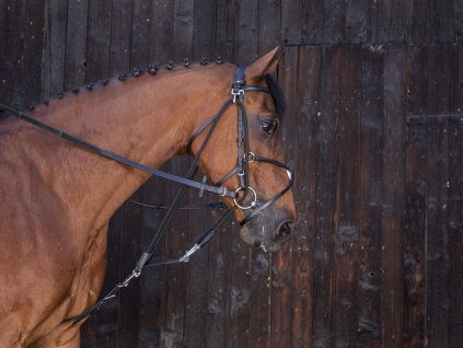 Gogue kožený Riding World, čierny