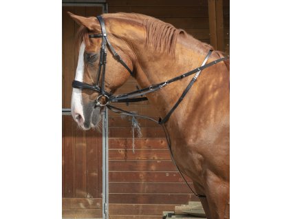 Set martingalu a oťaží Thiedemann Norton Pro, čierny