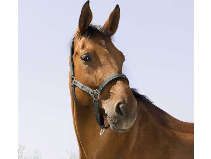 Ohlávka Reflective Norton, green