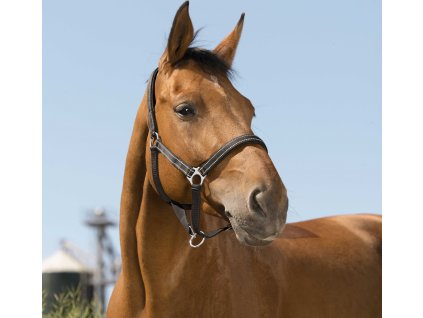 Ohlávka Reflective Norton, čierna