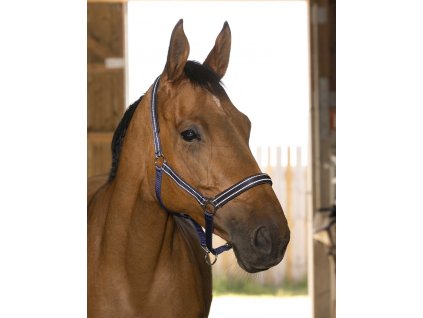 Ohlávka Reflective Norton, navy