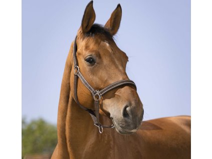 Ohlávka Reflective Norton, chocolate