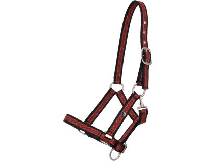 Ohlávka hříběcí QHP, sunset red