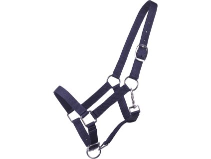 Ohlávka pre ročky QHP, dark blue