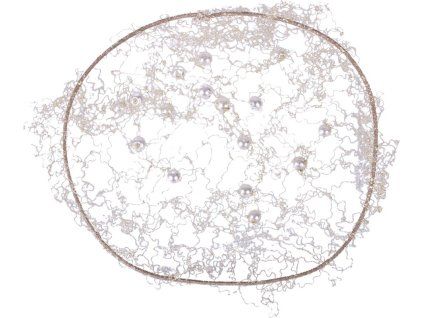 d2771bba30e7a445a0b51e446b6422fe