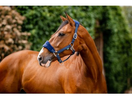 Ohlávka polstrovaná Grooming Signature Horseware, navy