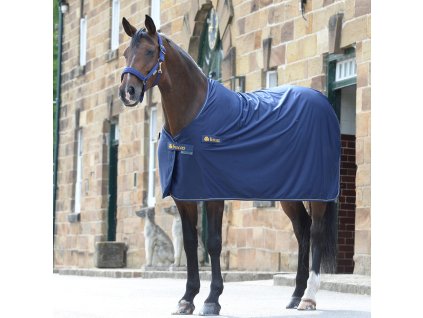 Deka odpocovacia Power Prize Bucas, bez loga, navy/gold