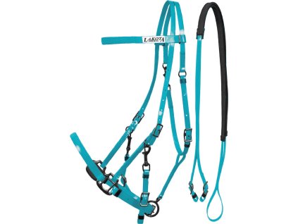 Uzdečka/ohlávka Biothane Lakota, COB/FULL, turquoise
