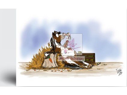 Diet starts tomorrow greeting card