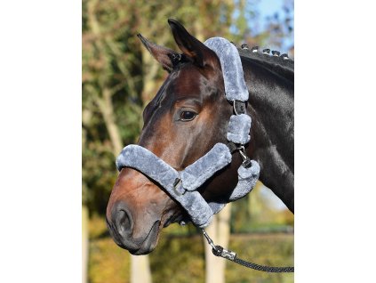 Ohlávka Guard BUSSE, s barančekom, anthracite/black