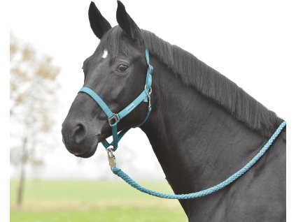 Ohlávka Hansa BUSSE, teal