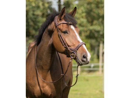 Uzdečka Devi QHP, hnedá (Veľkosť COB)