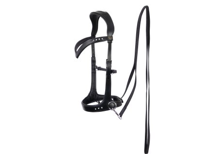 Uzdečka bezzubadlová Sidepull Glory F.R.A., čierna