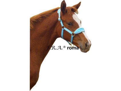 Ohlávka s barančekom Roma F.R.A., sky blue