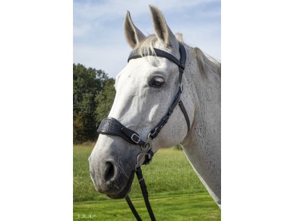 Uzdečka Hackamore Fiore F.R.A., čierna