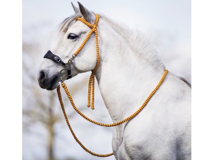 Uzdečka bezzubadlová Bodanza F.R.A., COB/FULL, red/yellow