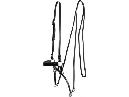 Uzdečka bezzubadlová Janosch F.R.A., čierna