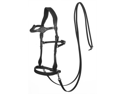 Uzdečka bezzubadlová Sidepull Dandy F.R.A., čierna