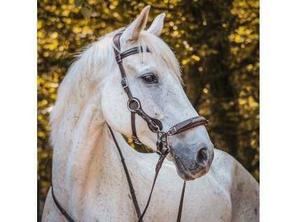 Uzdečka Hackamore Calli F.R.A., hnedá