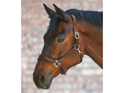 Ohlávka kožená X-Line Waldhausen, hnedá